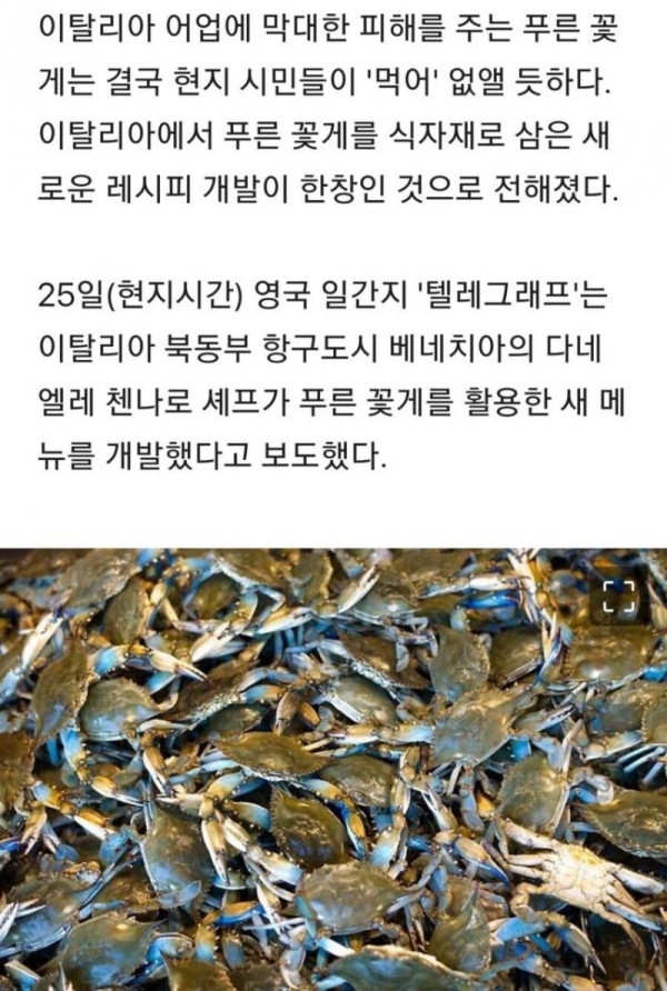 20241230135532_BY7n6NgJWf.jpg