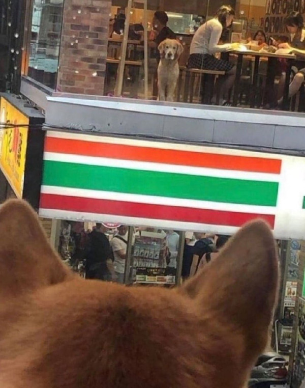 20250218121640_XnRMRERqGq.jpg