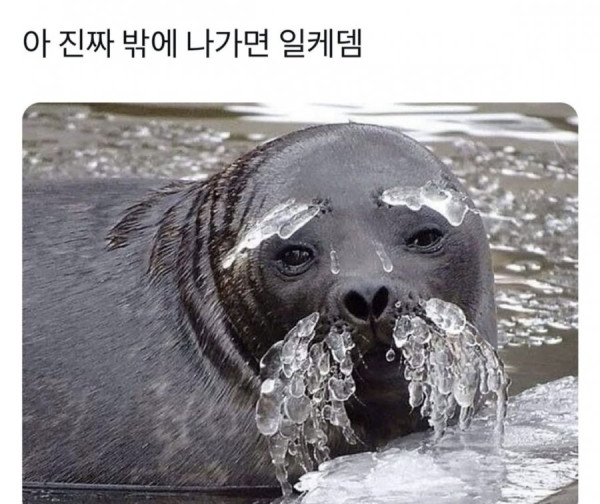 20250218113847_gtoE3JjHqJ.jpeg
