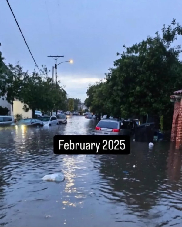 20250217111833_4oErmTsVig.jpeg