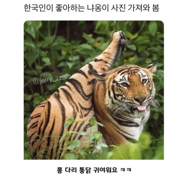 20250218112722_wJvMkGJ9UP.jpg