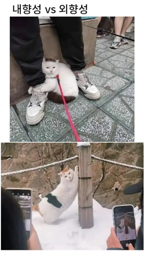 20250324105708_B97gp9gwbq.png