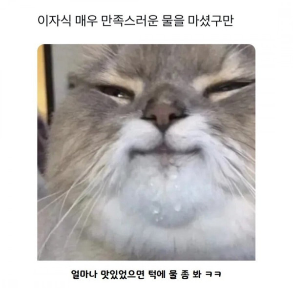 20250325111451_FgLGbPZuDw.jpg