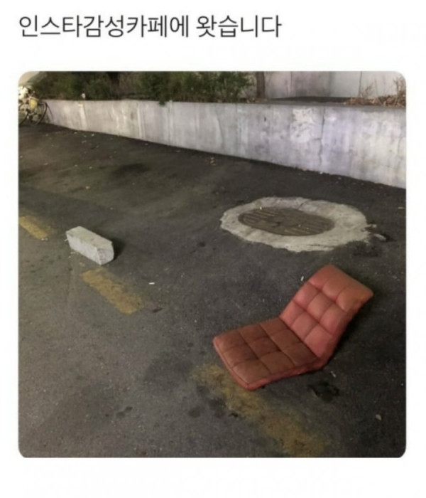 20250318133402_ROjPae6v3J.jpeg