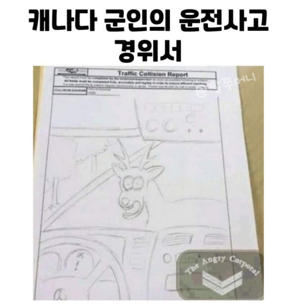20250318134832_qJ7KWZN2Hn.jpg