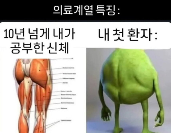 20250320114520_IJhLW6ZLTx.jpeg