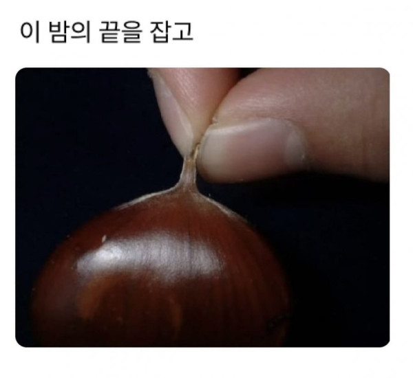 20250318142324_e0Mjvm9TPN.jpeg