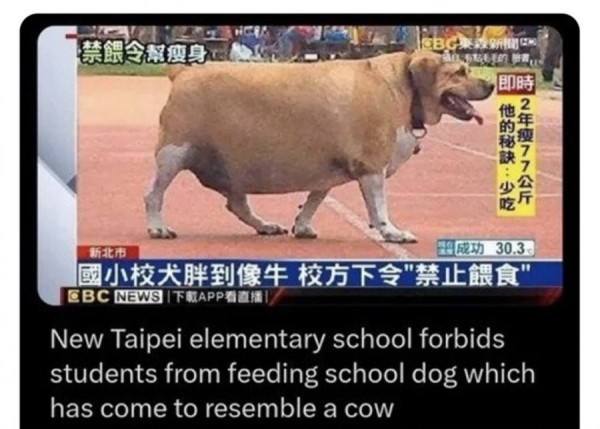 20250305122801_skUfwHNk0e.jpg