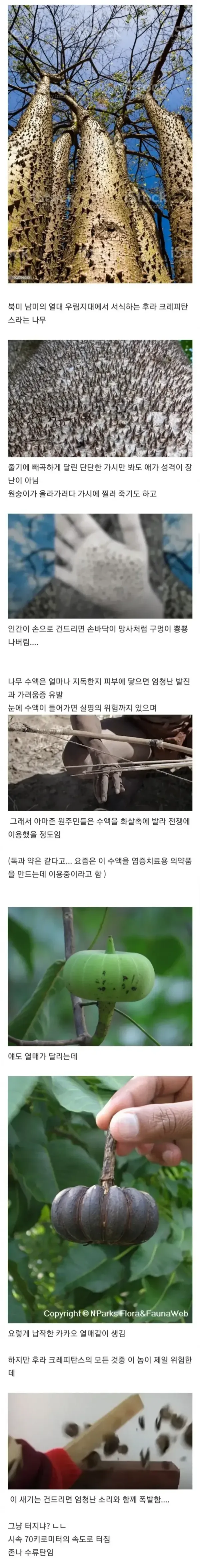 20250324114404_h3c8oLdsAk.webp