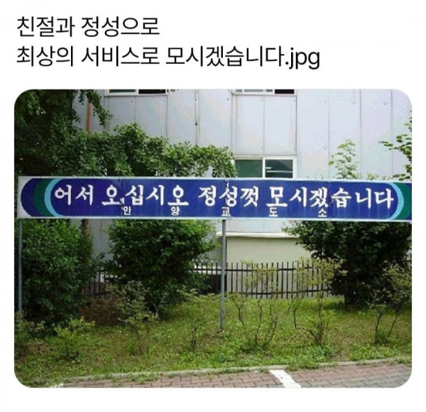 20250326113146_1jwVrg2D26.jpg