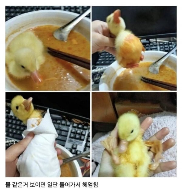 20250519104634_6PGf3PWwoK.jpeg