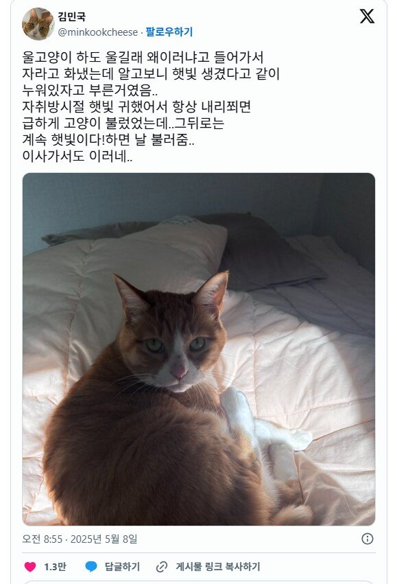 20250509102841_DM7ayJA1PE.png