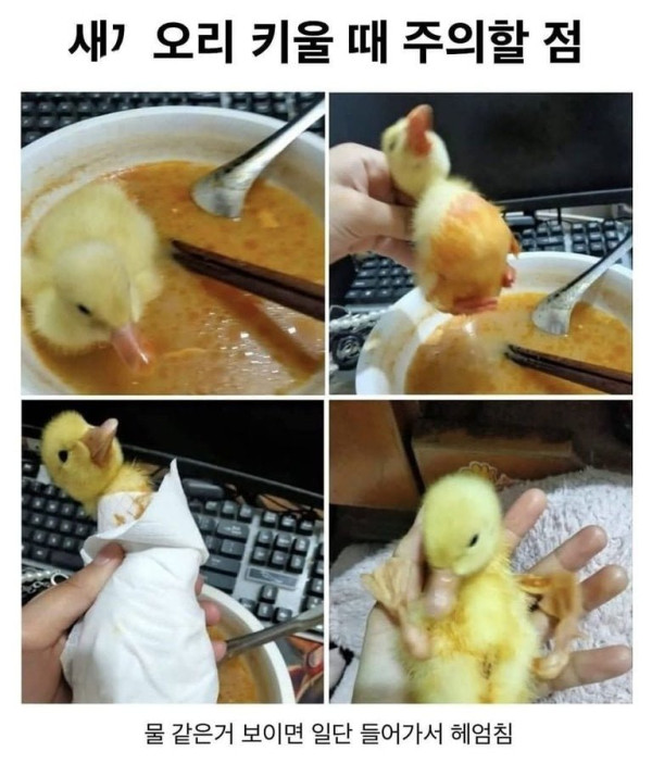 20250504082238_rRdmyReXSA.jpeg