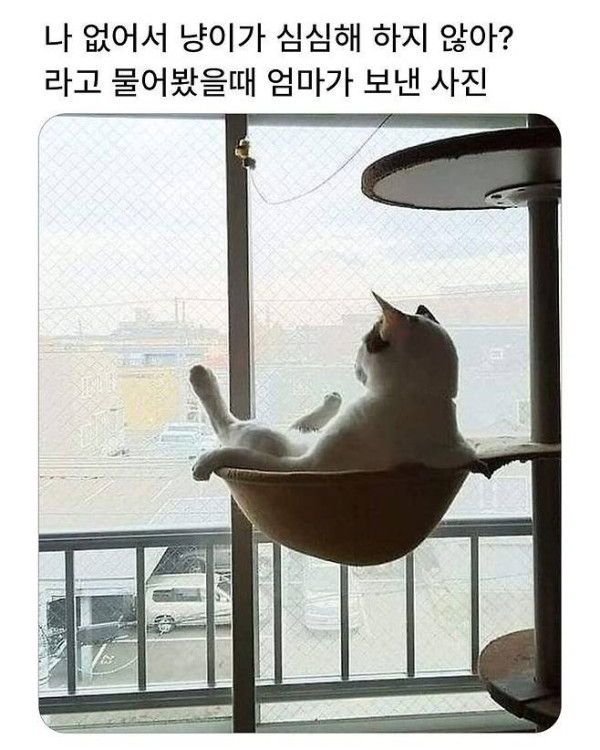 20250522192212_0Iyc47bxtw.jpeg