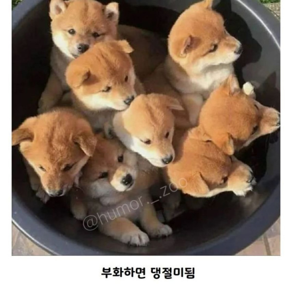 20250501104903_jjA9bItI0B.jpeg