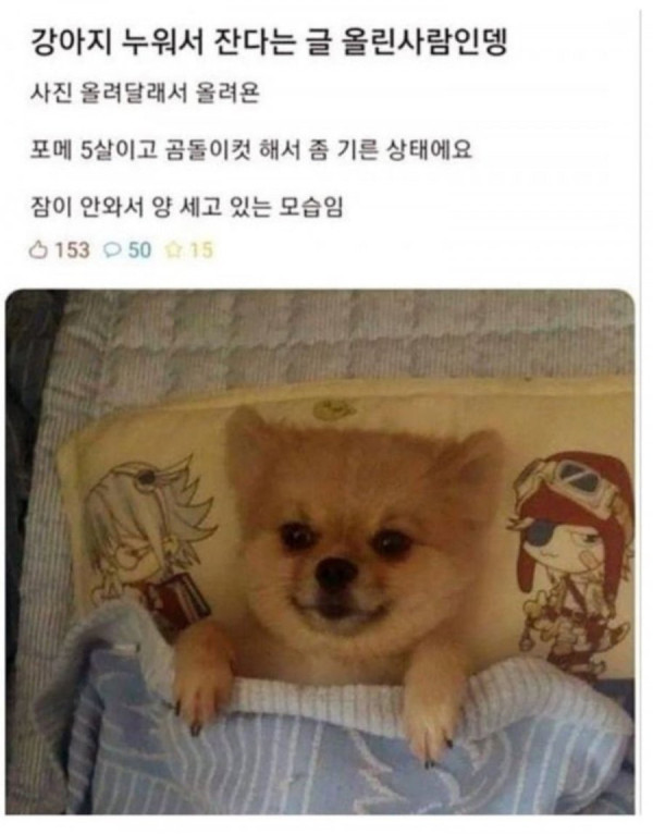20250505093648_e4sPCsbQah.jpeg