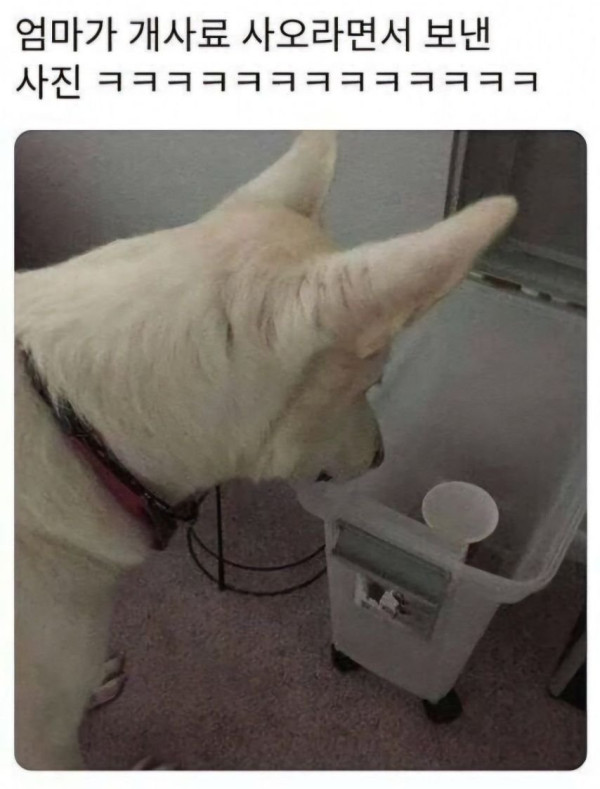 20250528193641_fTIjIBsbEN.jpeg