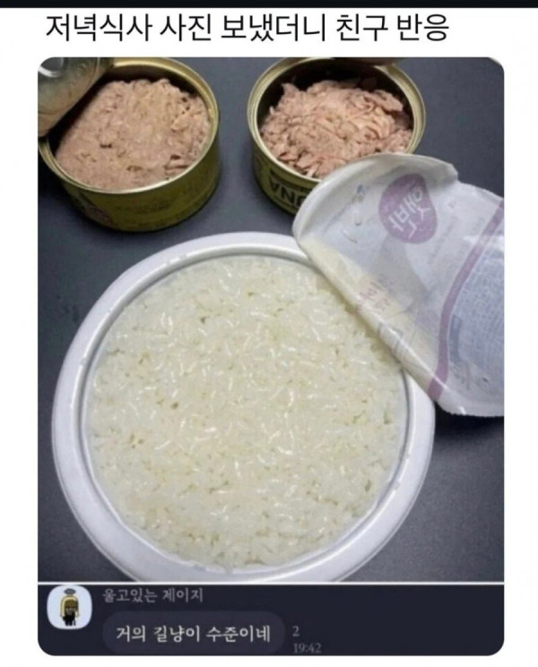 20250506123645_8hn8k5djPy.jpeg