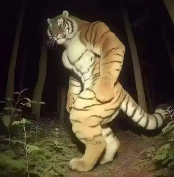 20250508182328_t9hRdcRxIp.jpg