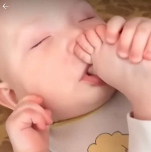 20250523114411_gMPugVT6Kw.jpeg