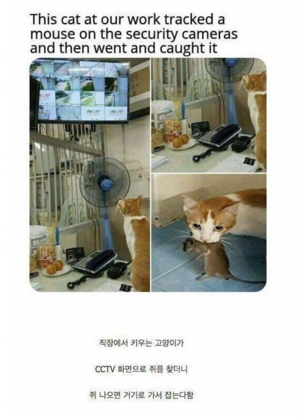 20250501102209_v4JO1xUECv.jpeg