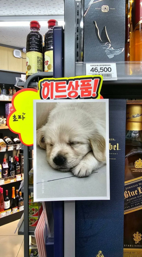 20250522103356_JiqHGzPQF1.jpg