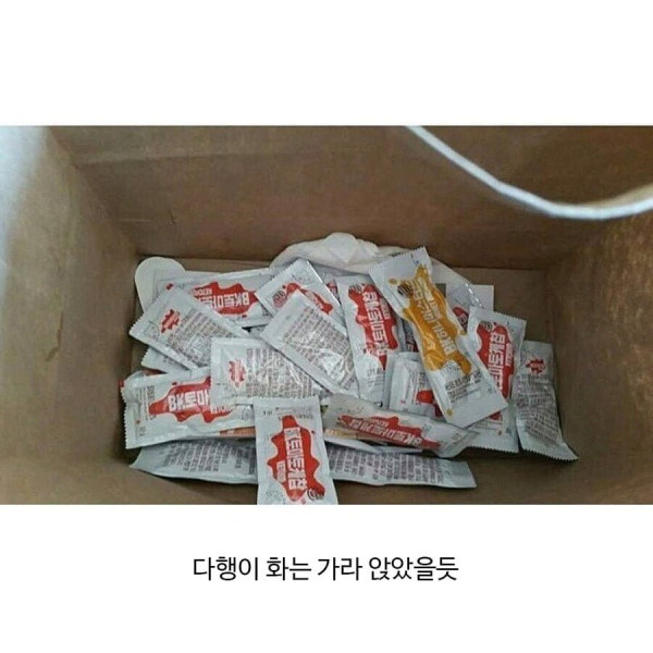 20250529124342_qIc0WpmrlW.png