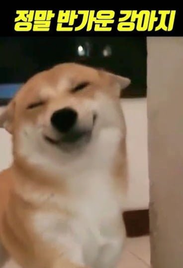 20250625120626_TffSxa29Ix.png