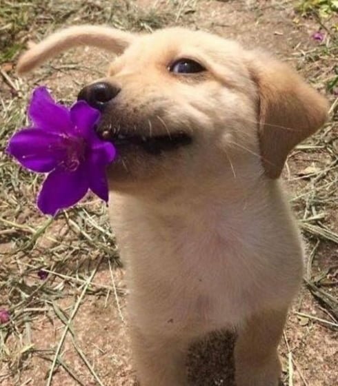20250625113308_veiTajDeC0.png