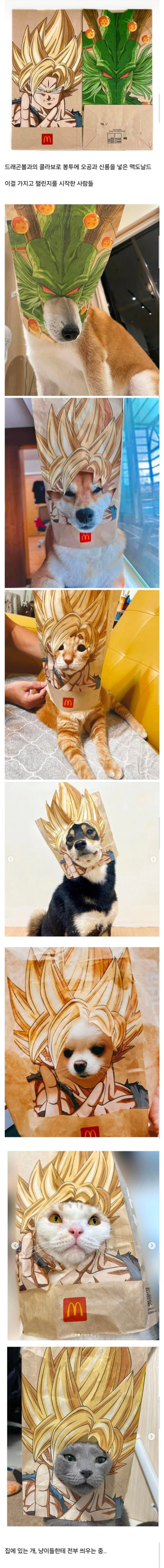 20250611233839_NrsbNxsf0e.jpg