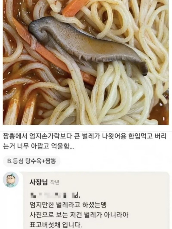 20250626112047_yTvA1SmmIZ.jpg
