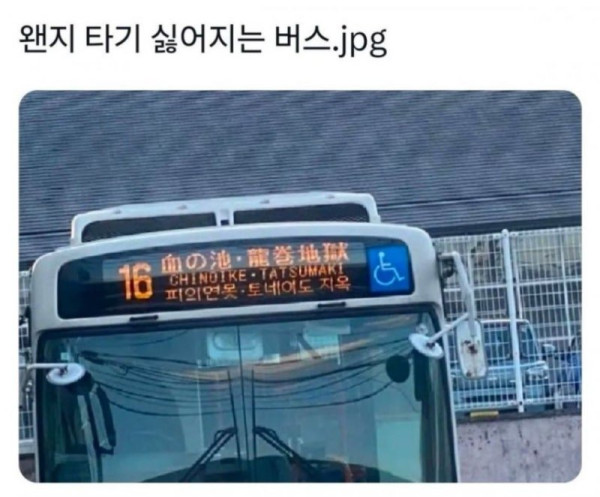 20250617123001_E1iv4JTHiC.jpg