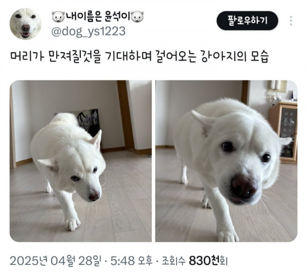 20250616114234_mINIdKJ9EV.png