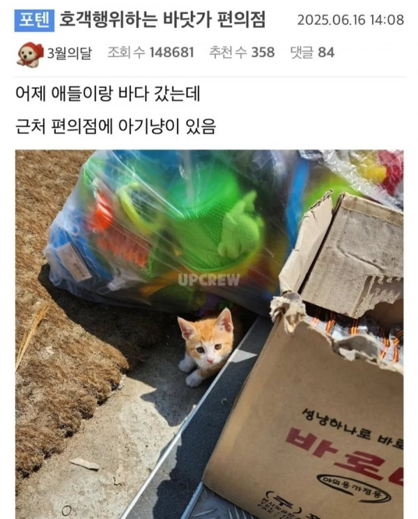 20250623195526_XyRROJm8hE.jpg