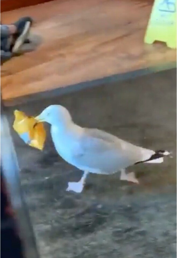 20250606111806_IAK1FgOB0h.jpeg