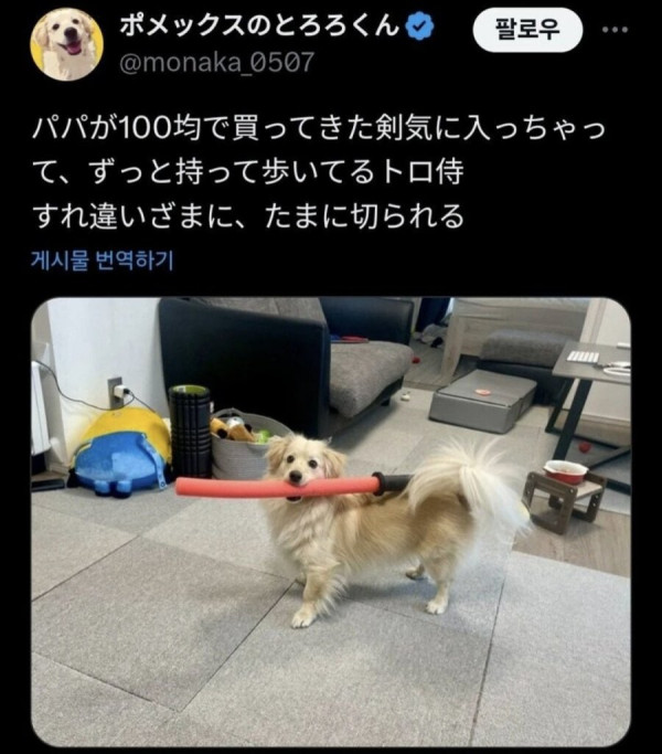 20250618123706_ol4ySvM927.jpeg