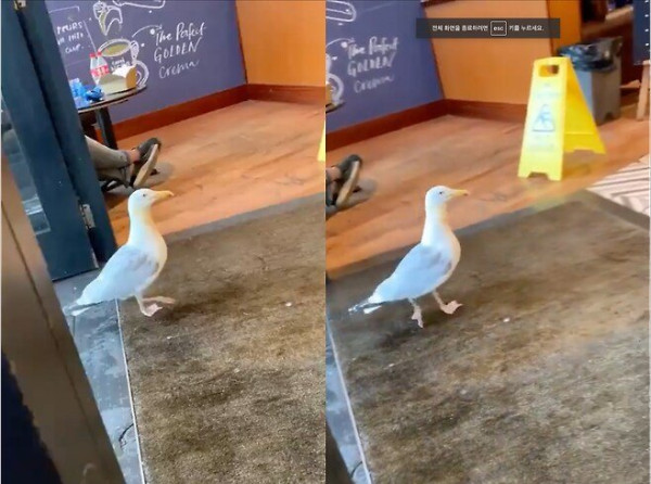 20250606111805_3ljrZ5c7Hy.jpeg