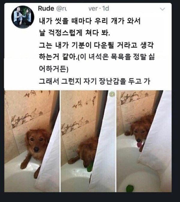 20250612123849_6qu1MeuoJ2.jpg