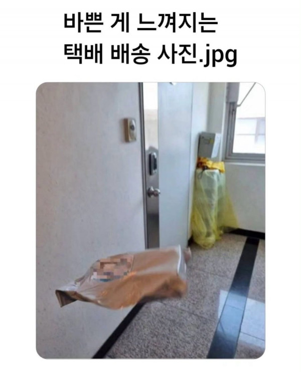 20250620192001_Q8p6nqeA4d.jpeg