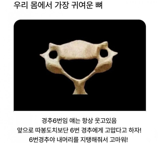 20250619101556_gEZRF5AKO8.jpeg