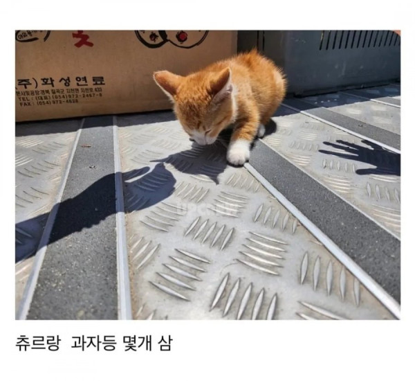20250623195525_fkvGquQ0l0.jpg