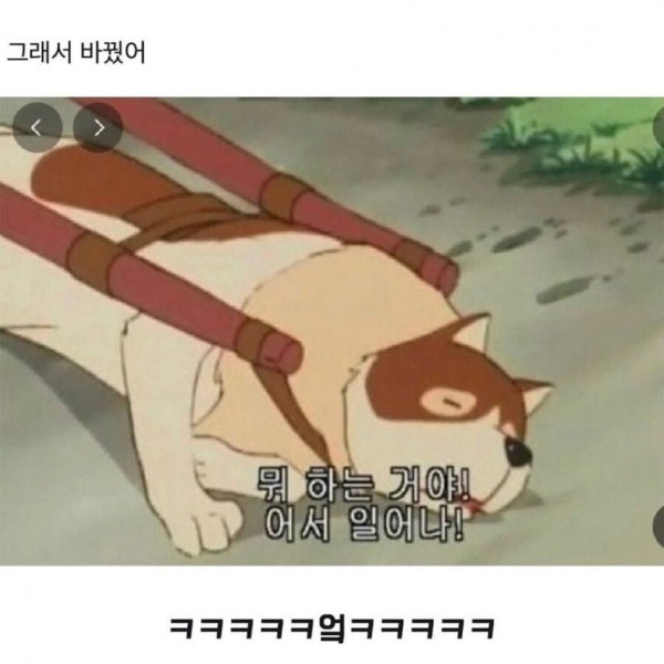 20250617120342_iDGtKGhn1a.png