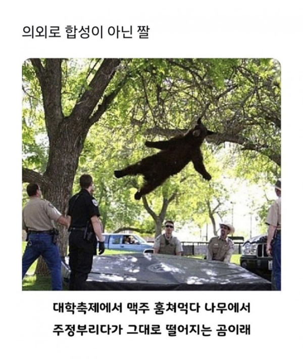 20250626194204_p9qpC8AWeg.jpeg
