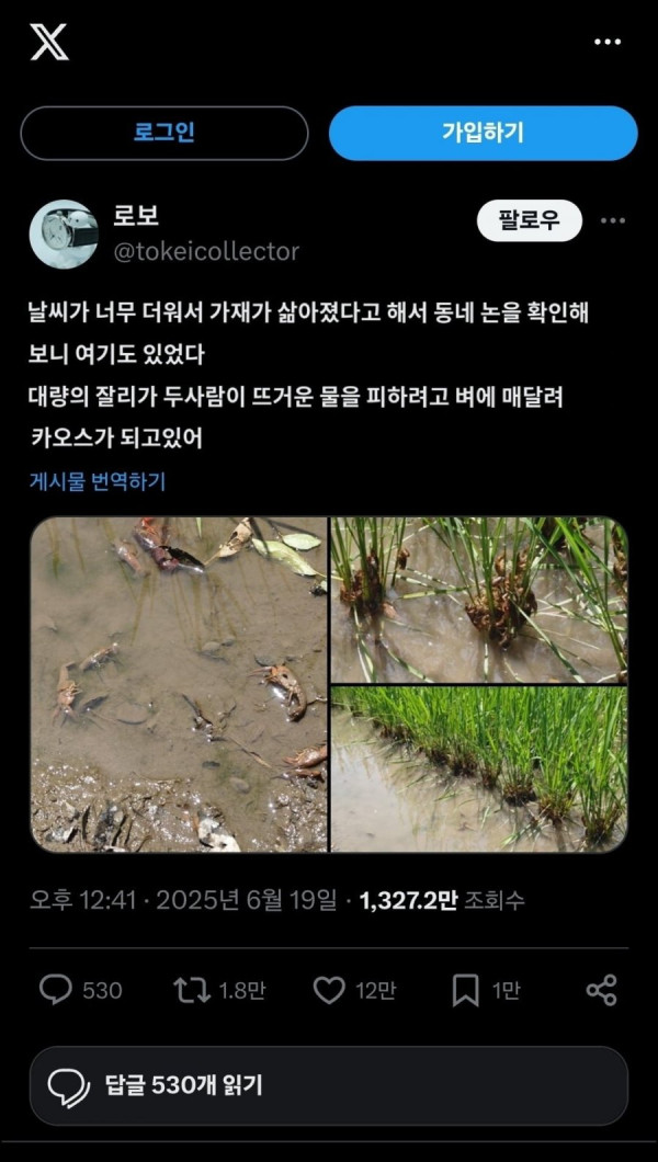 20250620114943_pq3OlS5hzL.jpg