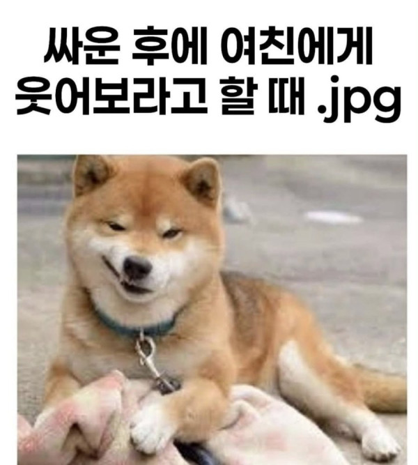 20250620192347_zeNLT9vmXk.jpeg