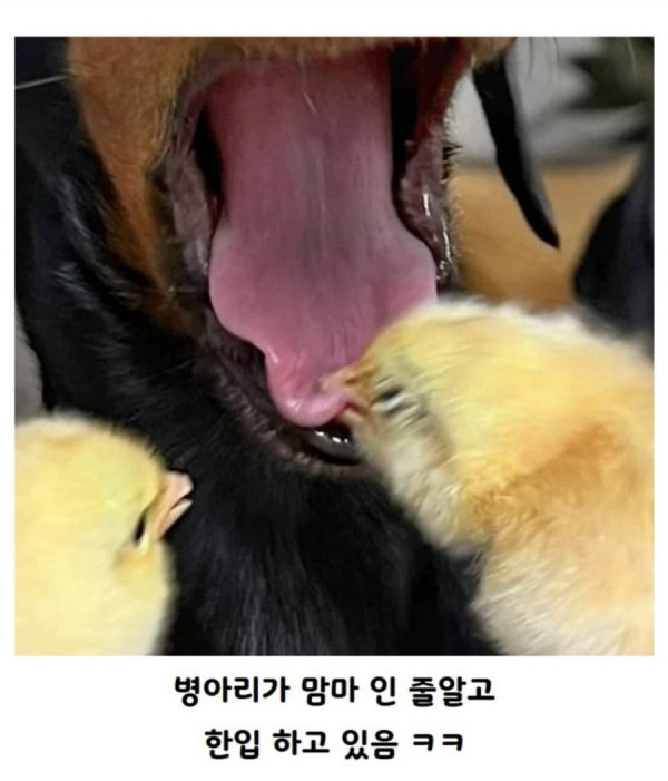 20250626194546_G7teda6mju.jpeg