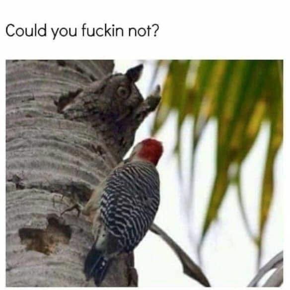 20250722110041_PLXPMN4if1.jpg