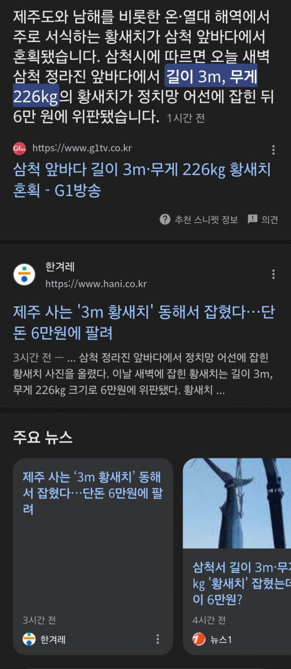 20250710194238_CJpdpY5JNO.jpg