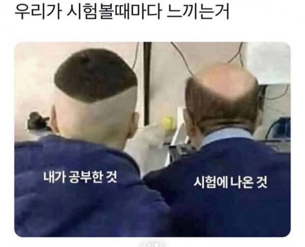 20250724185221_nvZfFHvtZy.jpeg