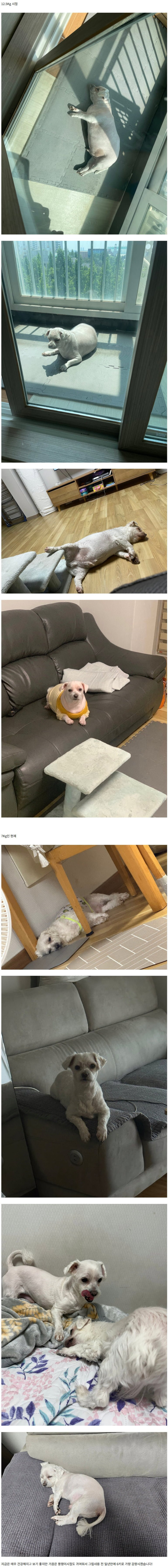 20250701185003_McjPWwwRWP.png